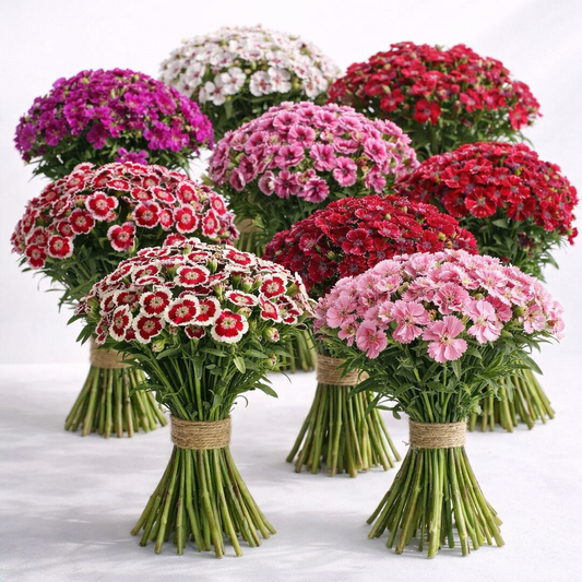 How Luxury Flower Decoration in Mumbai Is Shaping Modern Wedding Aesthetics